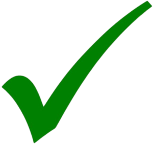 image removebg preview 5 e1766940897106