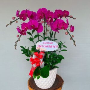 Điện hoa TPHCM 5 f12d699e9b0b62c73e6c039c0004dc21