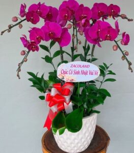 f12d699e9b0b62c73e6c039c0004dc21 e1767117466167