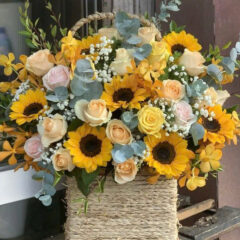 [Top1] Hộp hoa Ban Mai