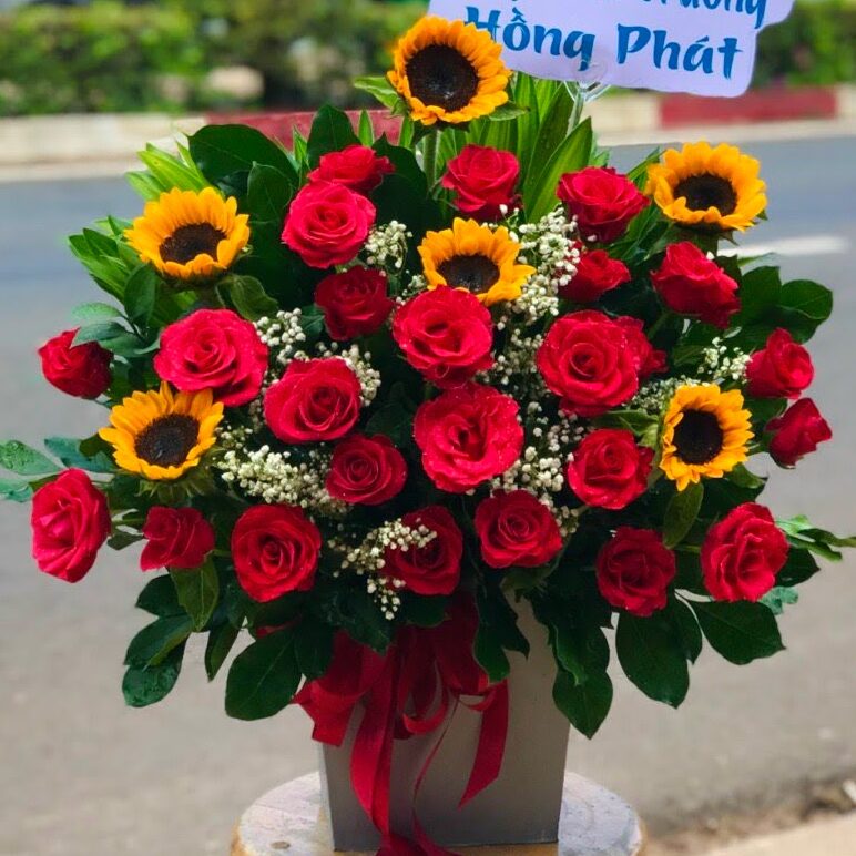 [Top1] Hộp hoa Tỏa Hương