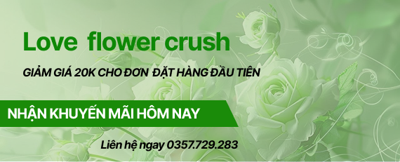 Group 13 e1766929251932