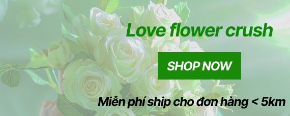 Group 14 e1766929351829