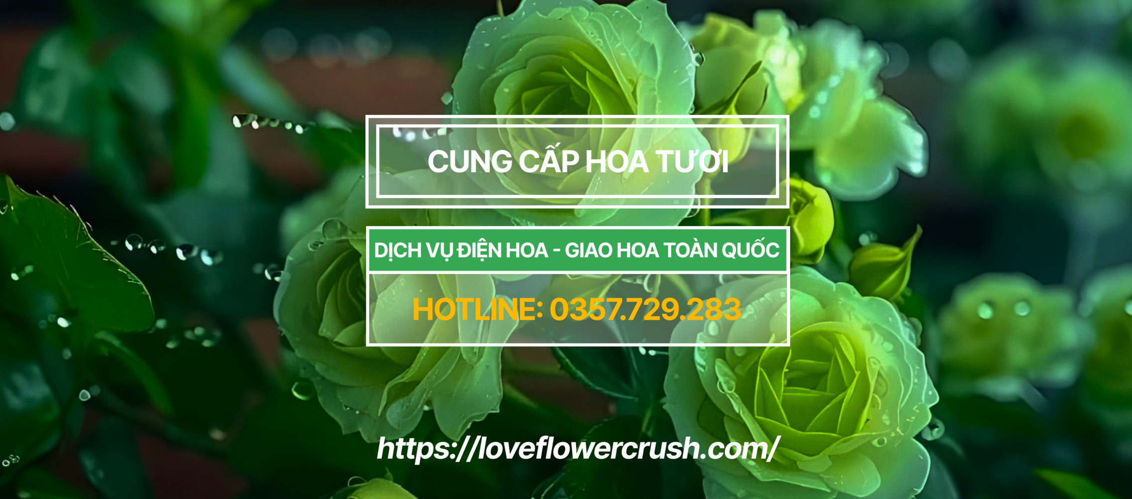 Group 3 scaled e1766394416337