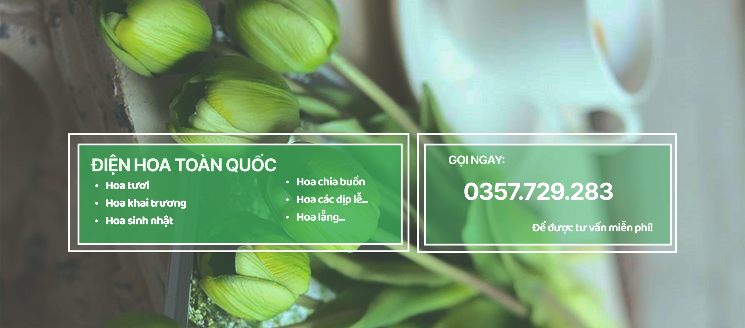 Group 9 2 scaled e1766396751144