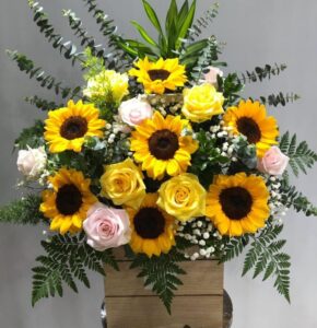 Hoa khai truong de ban 15 e1767115476503