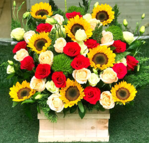 IMG 0296 e1767116060915