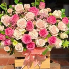 [Top1] Hộp hoa Nắng Nhẹ