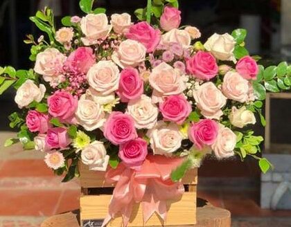 [Top1] Hộp hoa Nắng Nhẹ