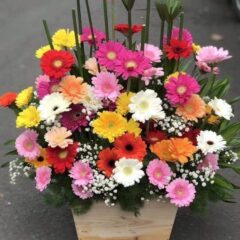 [Top1] Hộp hoa Kết Nối