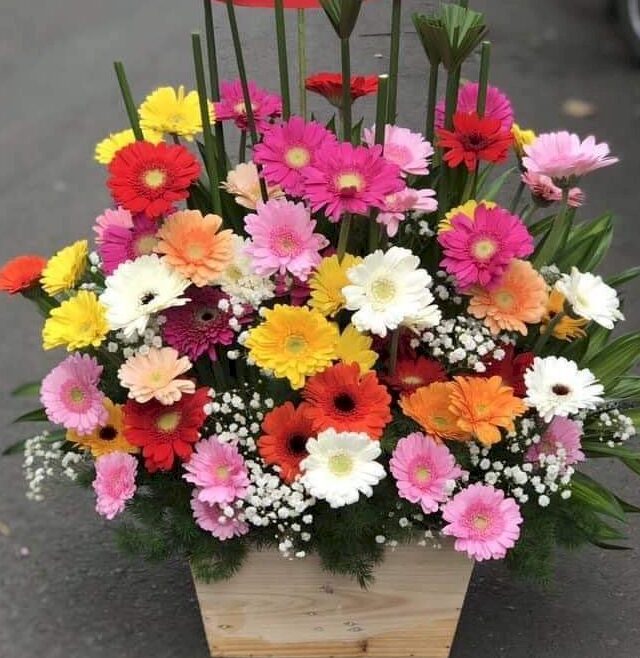 [Top1] Hộp hoa Kết Nối