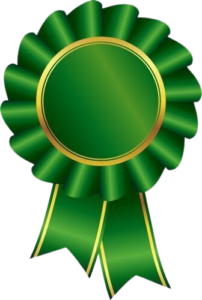 image removebg preview 2