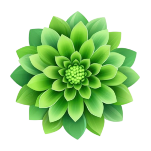 image removebg preview 8