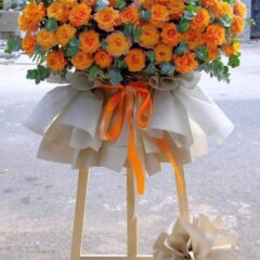 [Top1] Hoa chúc mừng Phát Tài