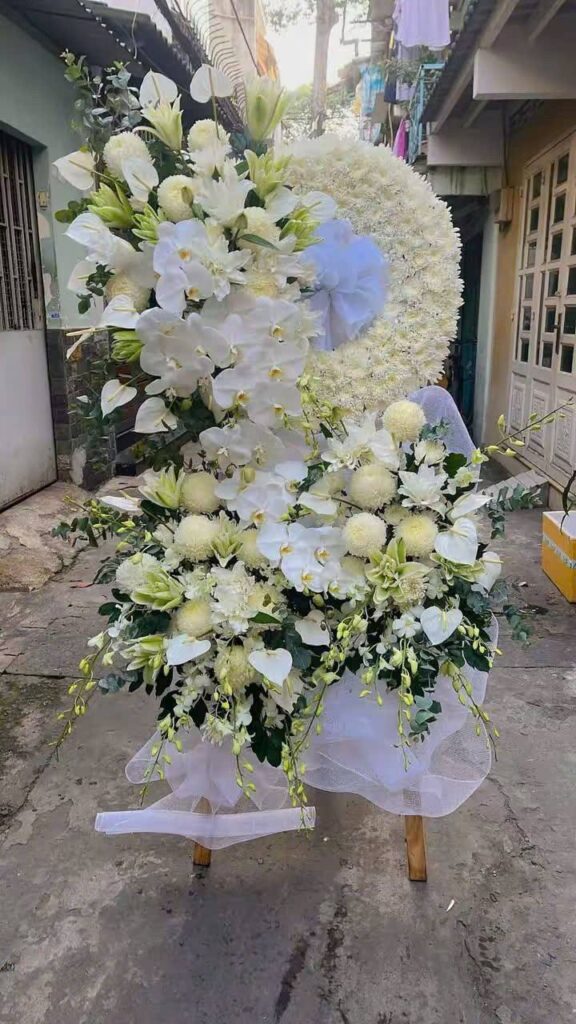 571185655 1115646380778558 7406839523365019122 n