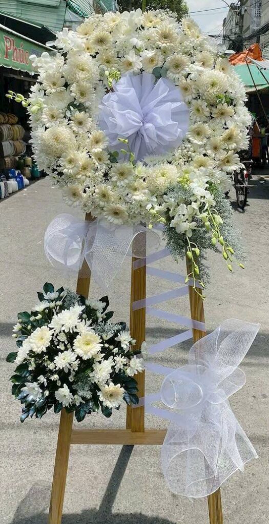 571256788 1115648344111695 6720588533489073605 n e1767405834864