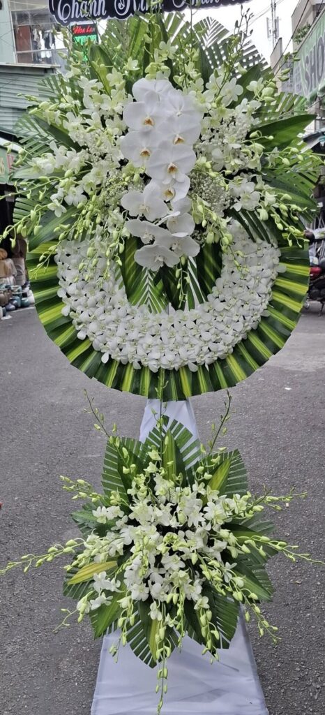 572275974 1115683007441562 5261781805705515995 n scaled e1767406942648