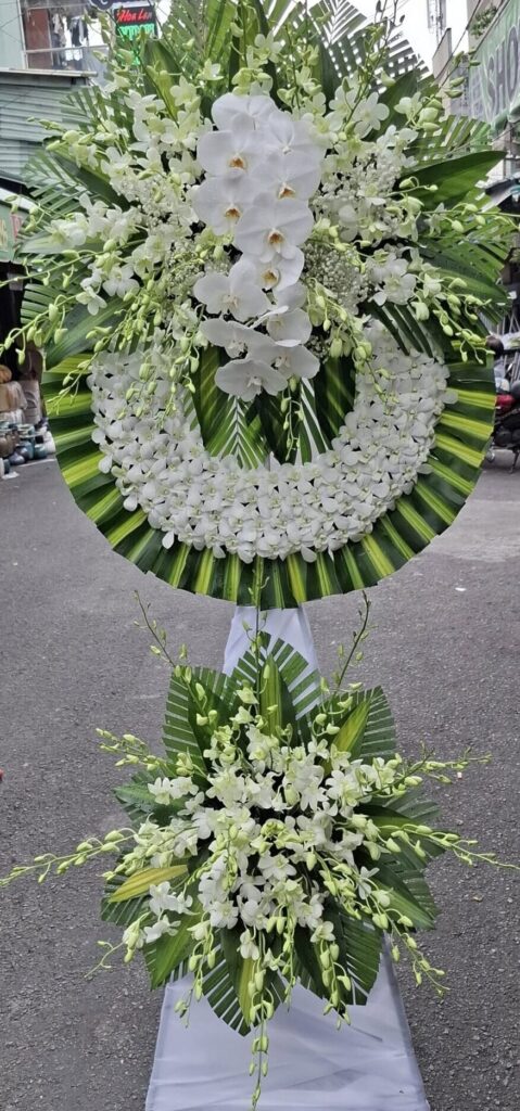 572275974 1115683007441562 5261781805705515995 n scaled e1767475055800