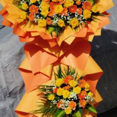 [Top1] Hoa chúc mừng Đại Lợi