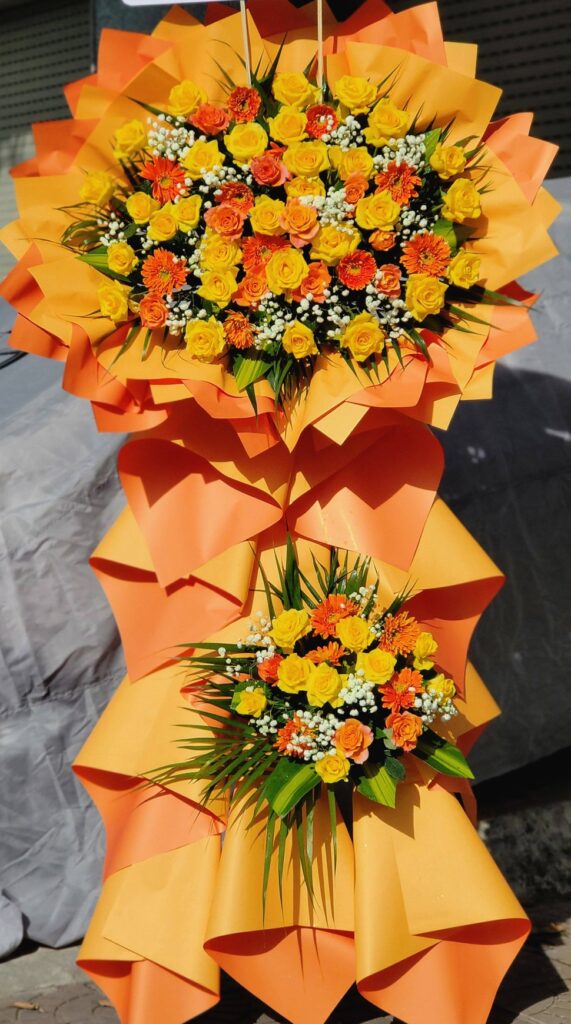 603866154 2655945201436189 7135296239851599494 n e1767431023552