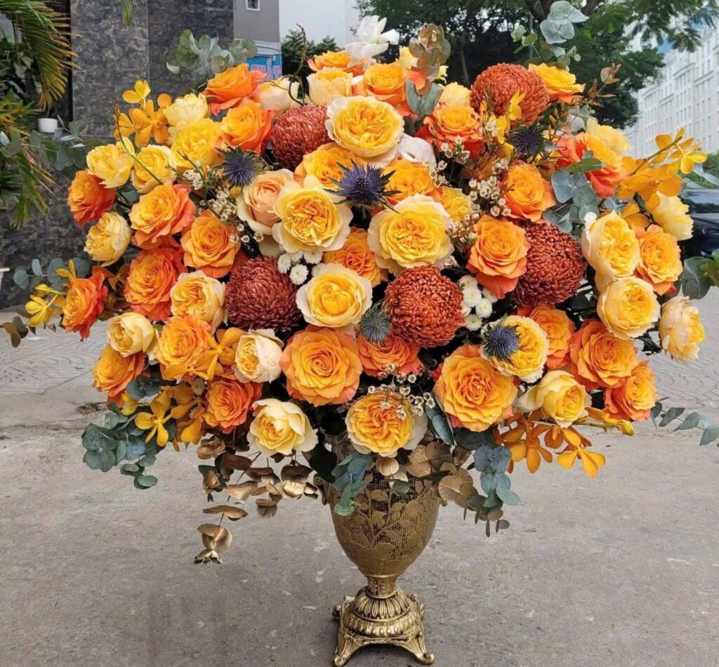 605642774 122160479690616711 6569085991510220720 n e1767356050358