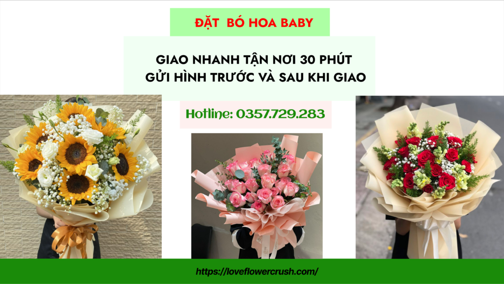DAT BO HOA BABY