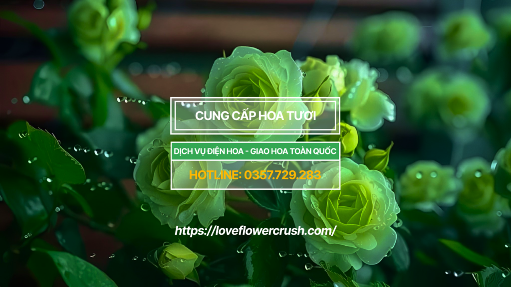 Hoa tươi viếng đúng lễ nghi 1 Group 3