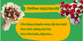 Group 31 e1767300899501