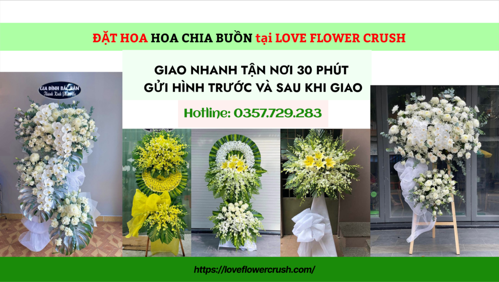 HOA CHIA BUON