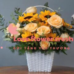 [TOP 1] Hoa Valentine cho vợ yêu