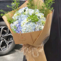 [TOP 1] Hoa cẩm tú cầu freeship