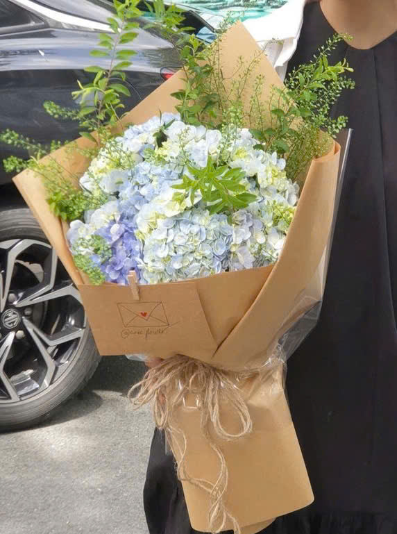 [TOP 1] Hoa cẩm tú cầu freeship