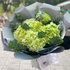 [TOP 1] Hoa cẩm tú cầu đẹp giao nhanh