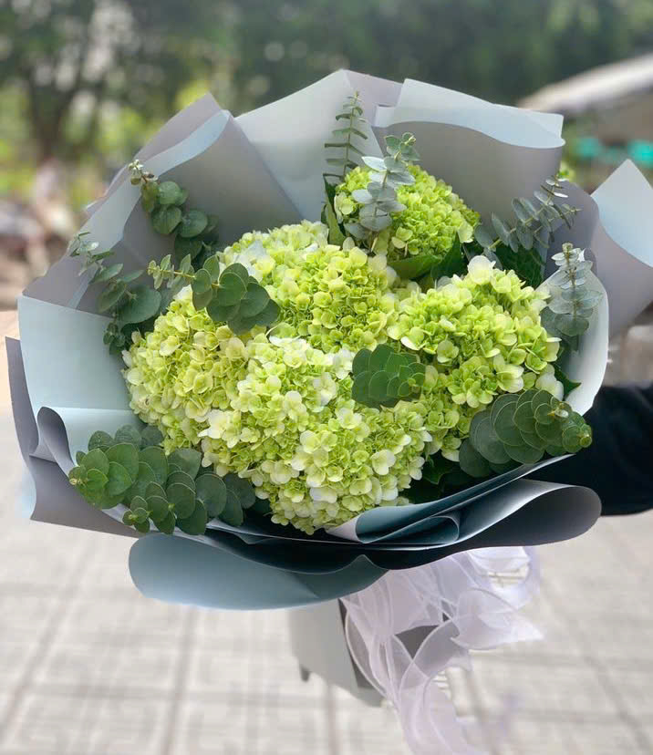 [TOP 1] Hoa cẩm tú cầu đẹp giao nhanh