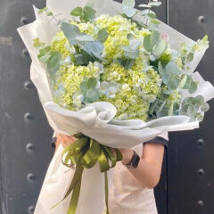 [TOP 1] Hoa cẩm tú cầu bán chạy