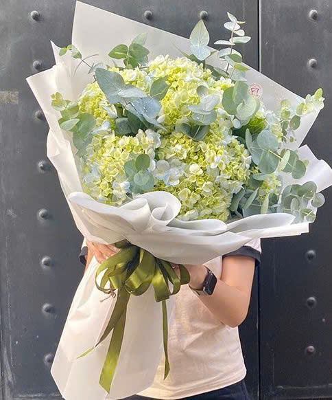 [TOP 1] Hoa cẩm tú cầu bán chạy