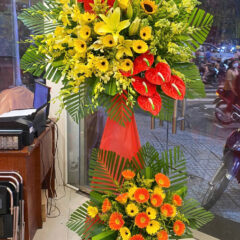 Kệ Hoa Khai Trương 2 Tầng Đường Quang Trung Gò Vấp