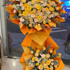 Kệ Hoa Khai Trương 2 Tầng Đường Lê Đức Thọ Gò Vấp