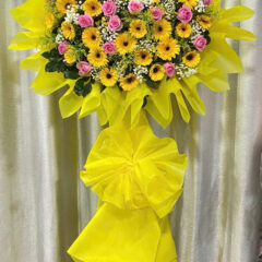 Kệ Hoa Khai Trương 1 Tầng Đường Hoa Sứ Phú Nhuận